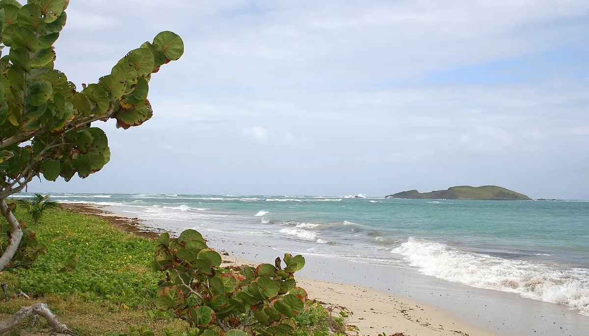 Anse de Sables beach near Vieux Fort, St Lucia, with sea-grape trees, breaking waves and a small island offshore