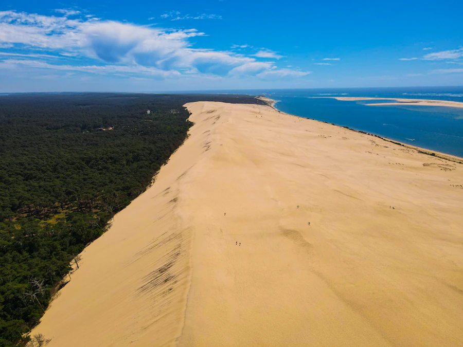 Vue aérienne de la Dune du Pilat et du Bassin d'Arcachon
