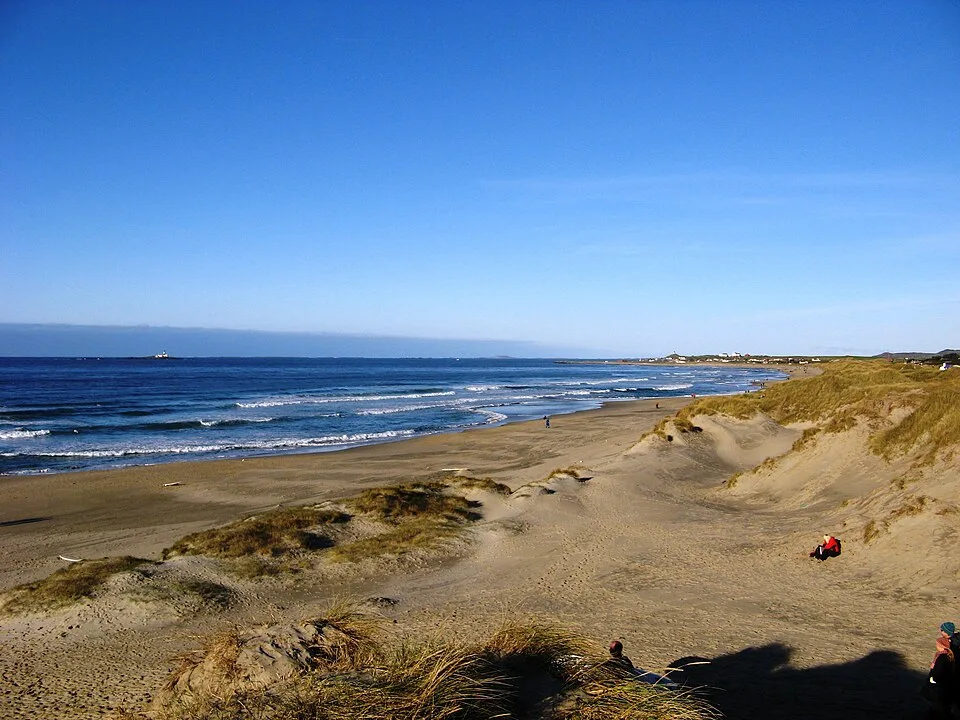 Bore beach on a sunny day: grassy dunes on the right, a wide sandy beach and lines of white water breaking along the shore