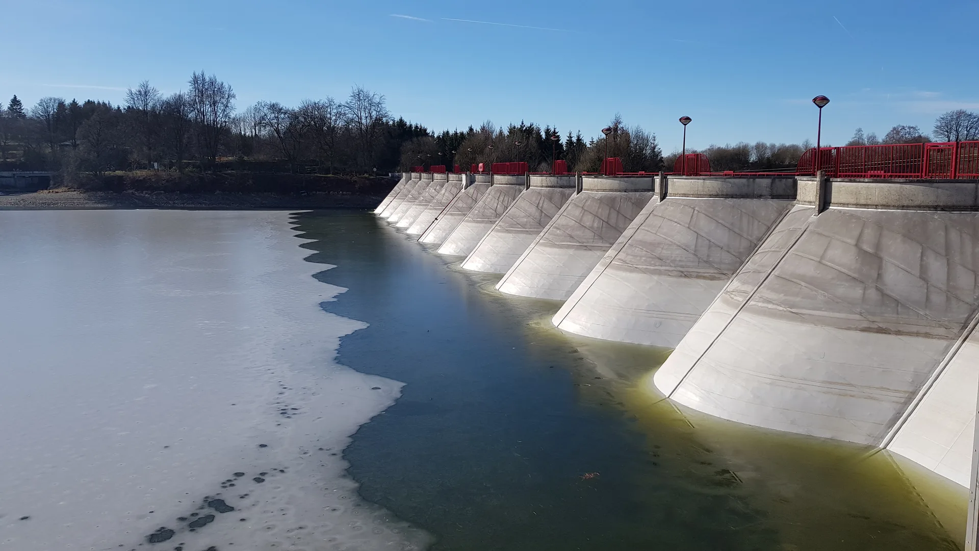 Le barrage et le lac de Bütgenbach, entourés de forêts de sapins
