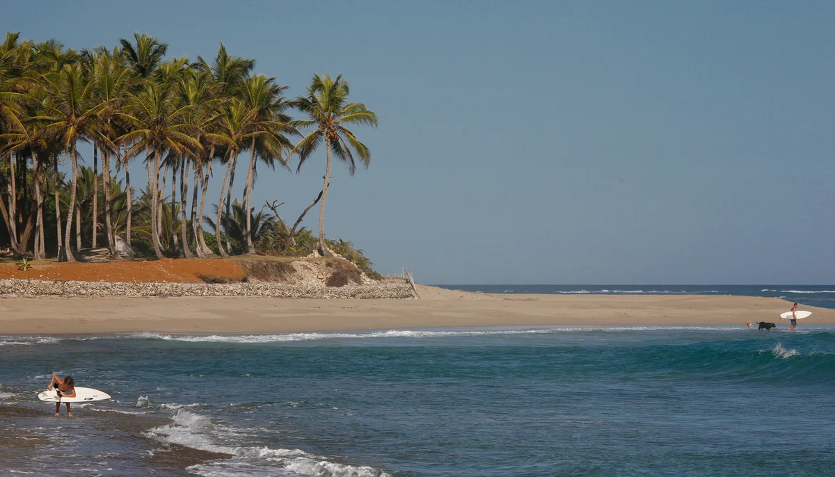 Plage de Cabarete en République dominicaine, avec cocotiers et surfeurs entrant dans l'eau
