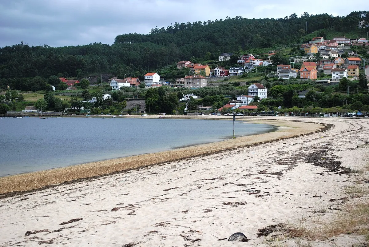 Playa de Cesantes, en Redondela: arenal claro junto a aguas tranquilas de la ría, con casas entre el arbolado al fondo