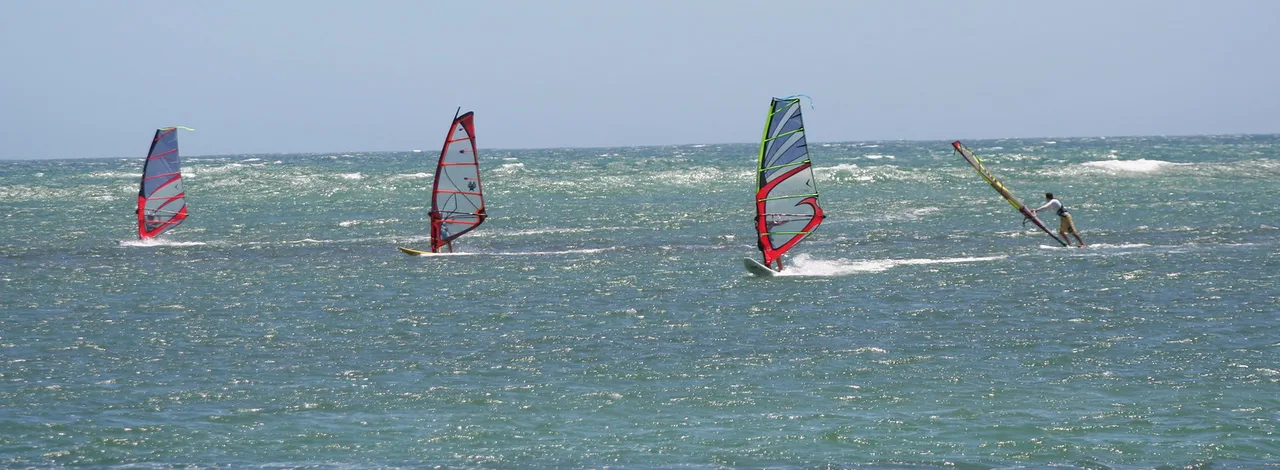 Four windsurfers planing across choppy water at Coronation Beach, near Geraldton, Western Australia