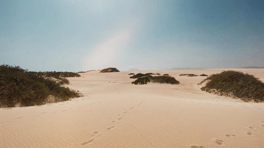 Dunas de arena en el Parque Natural de Corralejo, Fuerteventura
