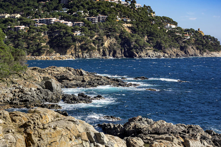 Cala rocosa entre pinos en Calella de Palafrugell, en la Costa Brava