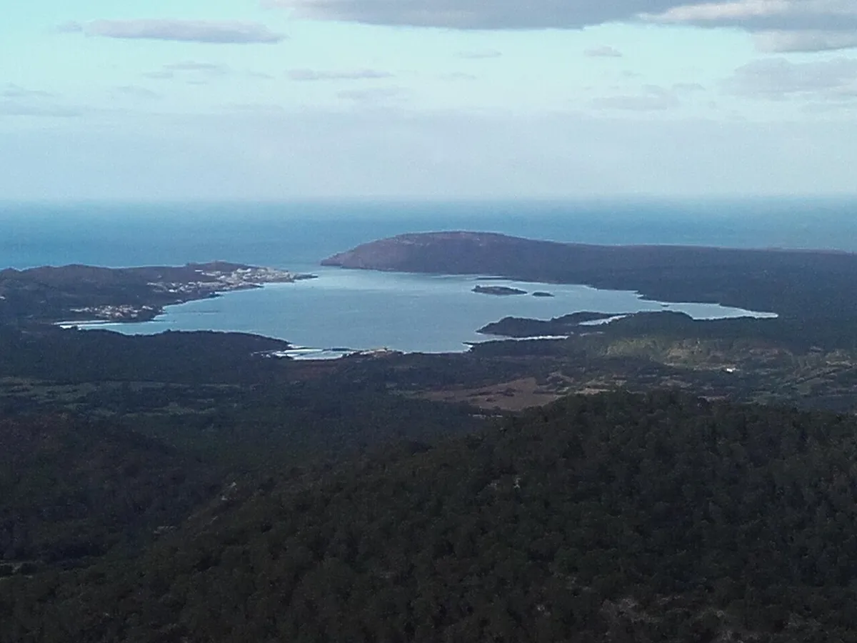 La baie de Fornells, à Minorque, vue d'un point haut, avec un cap de l'autre côté de l'eau et de la forêt au premier plan