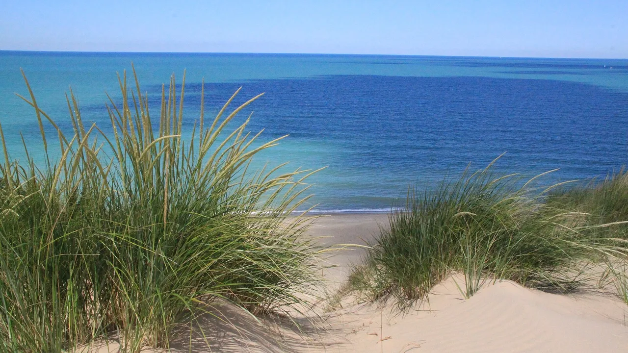 Dune grass framing a view of Lake Michigan from atop Mount Baldy, Indiana Dunes National Park