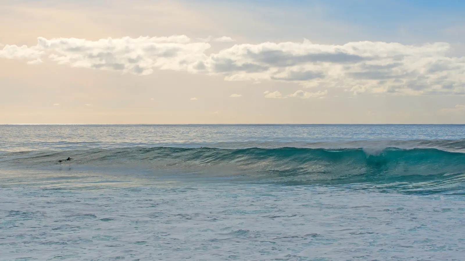 A wave breaking at Paul do Mar, Madeira, with a surfer paddling in the lineup
