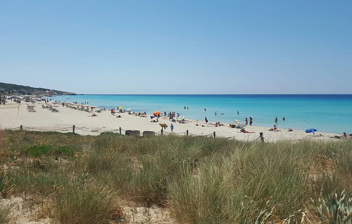 Longue plage de sable et eau turquoise vues au-dessus des herbes de dune à Migjorn, à Formentera