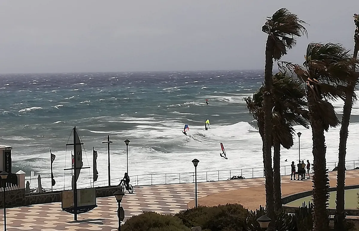 Windsurfistas en la bahía de Pozo Izquierdo, vistos desde el paseo marítimo con palmeras dobladas por el viento