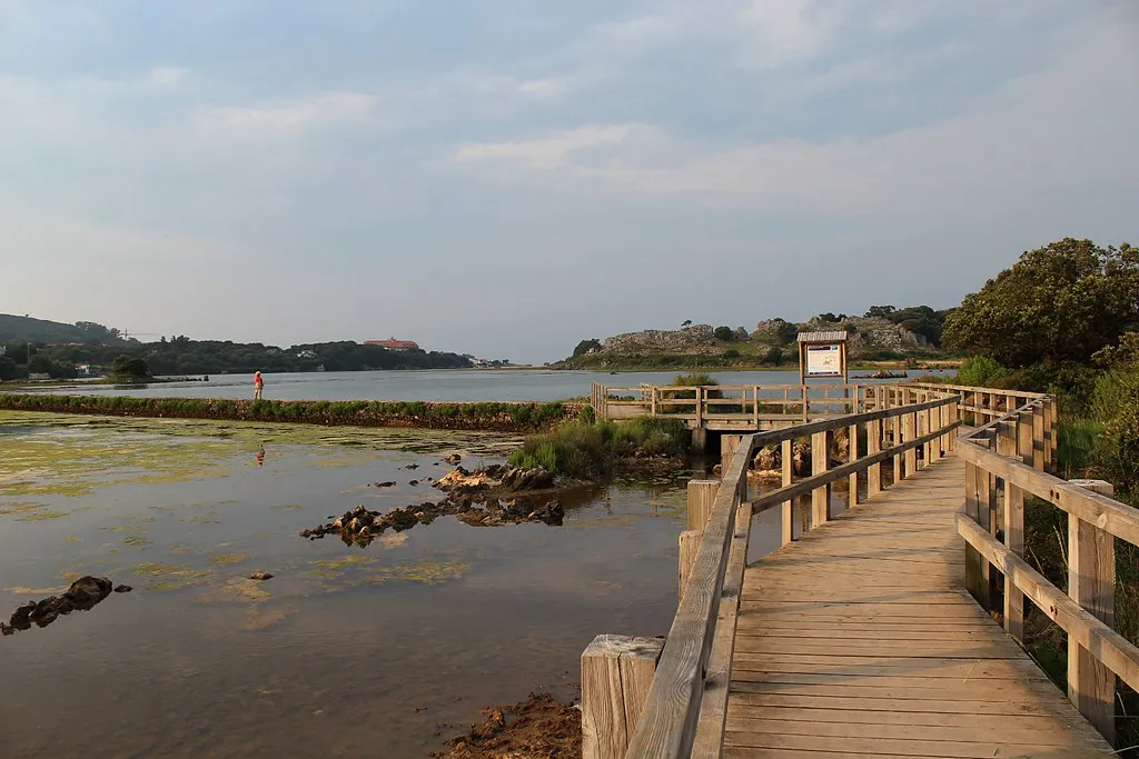 Pasarela de madera junto a una zona de marisma con agua poco profunda y vegetación