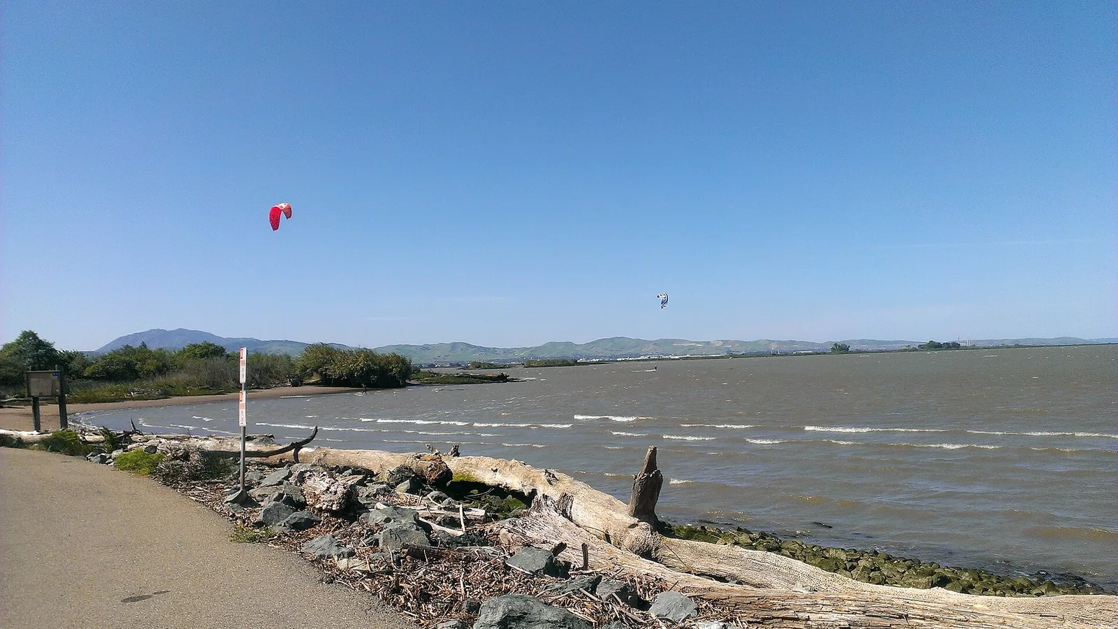 Kites flying over the Sacramento Delta at Sherman Island, California