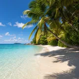 Spot de surf tropical avec palmiers sur la plage