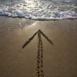 Surfing level progression curve