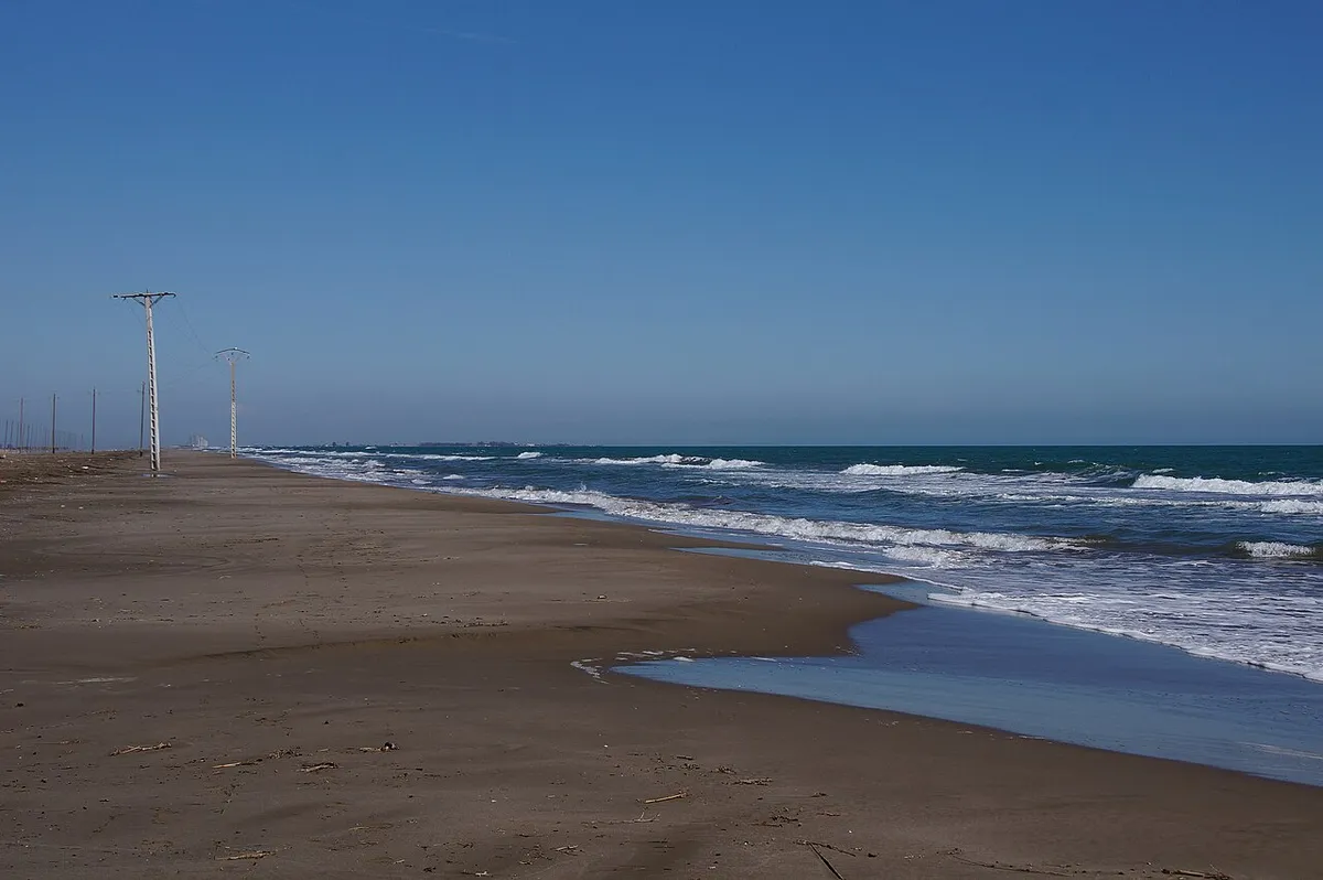 Dark-sand beach with surf and electricity poles at El Trabucador, in the Ebro Delta