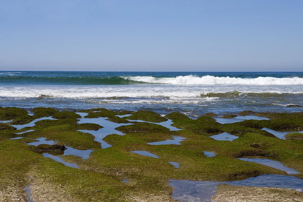 A wave breaking beyond the rocky reef shelf at Playa Troncones, Guerrero, Mexico